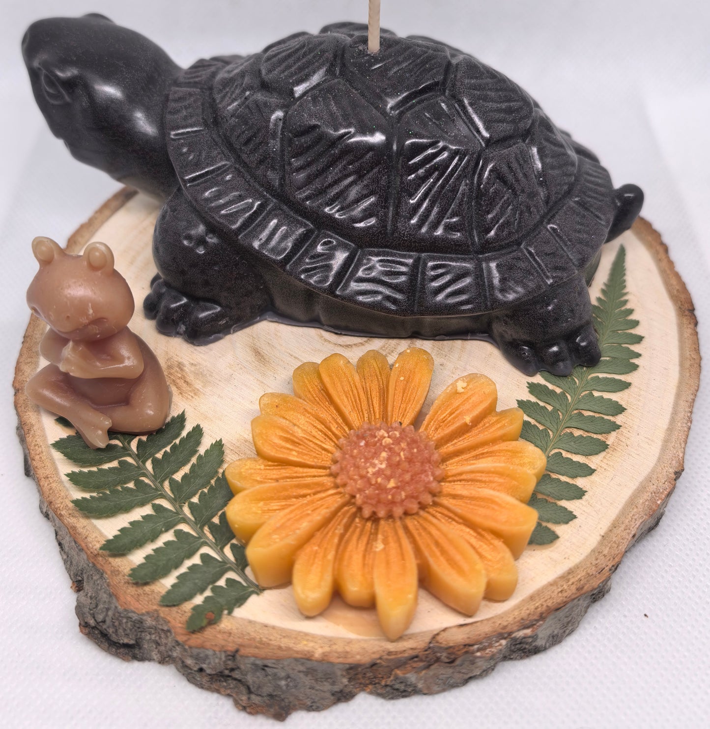 La gardienne des cycles solaires