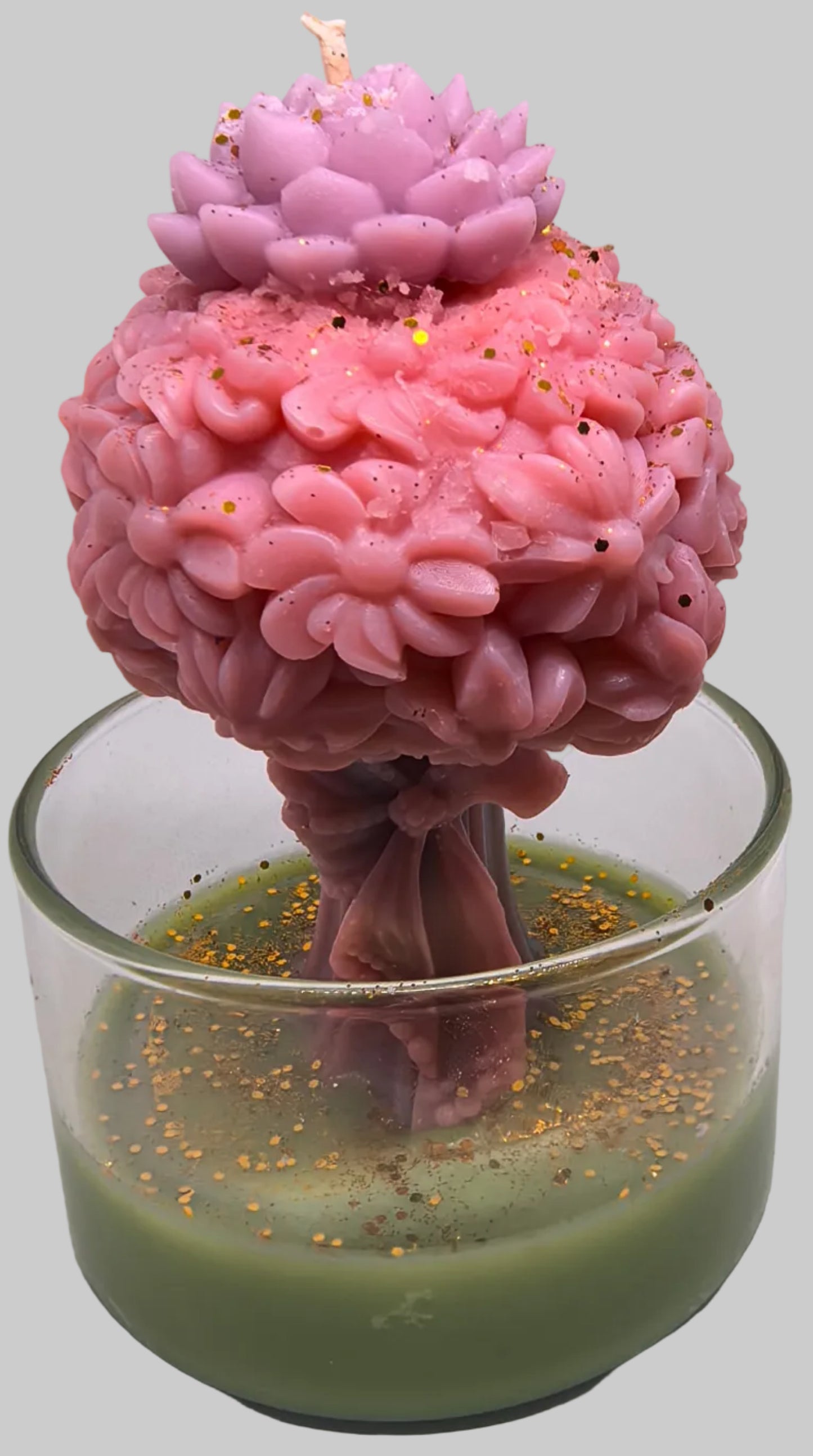 L’arbre des souffles lavés