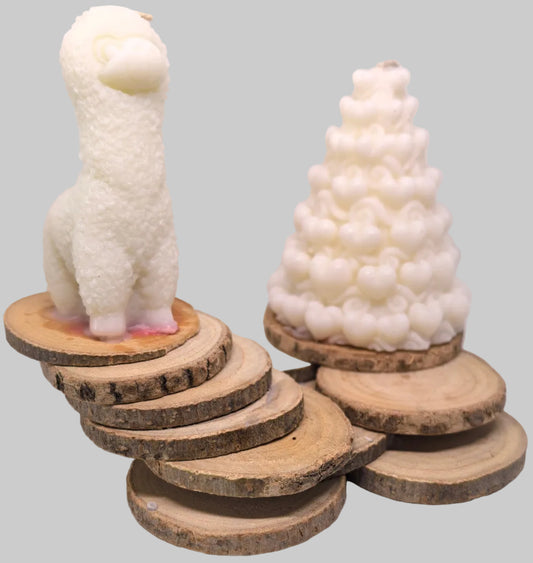 Les veilleurs des bois oubliés