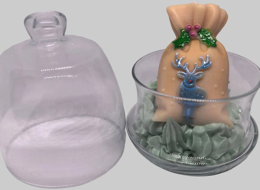 Le gardien des neiges sacrées