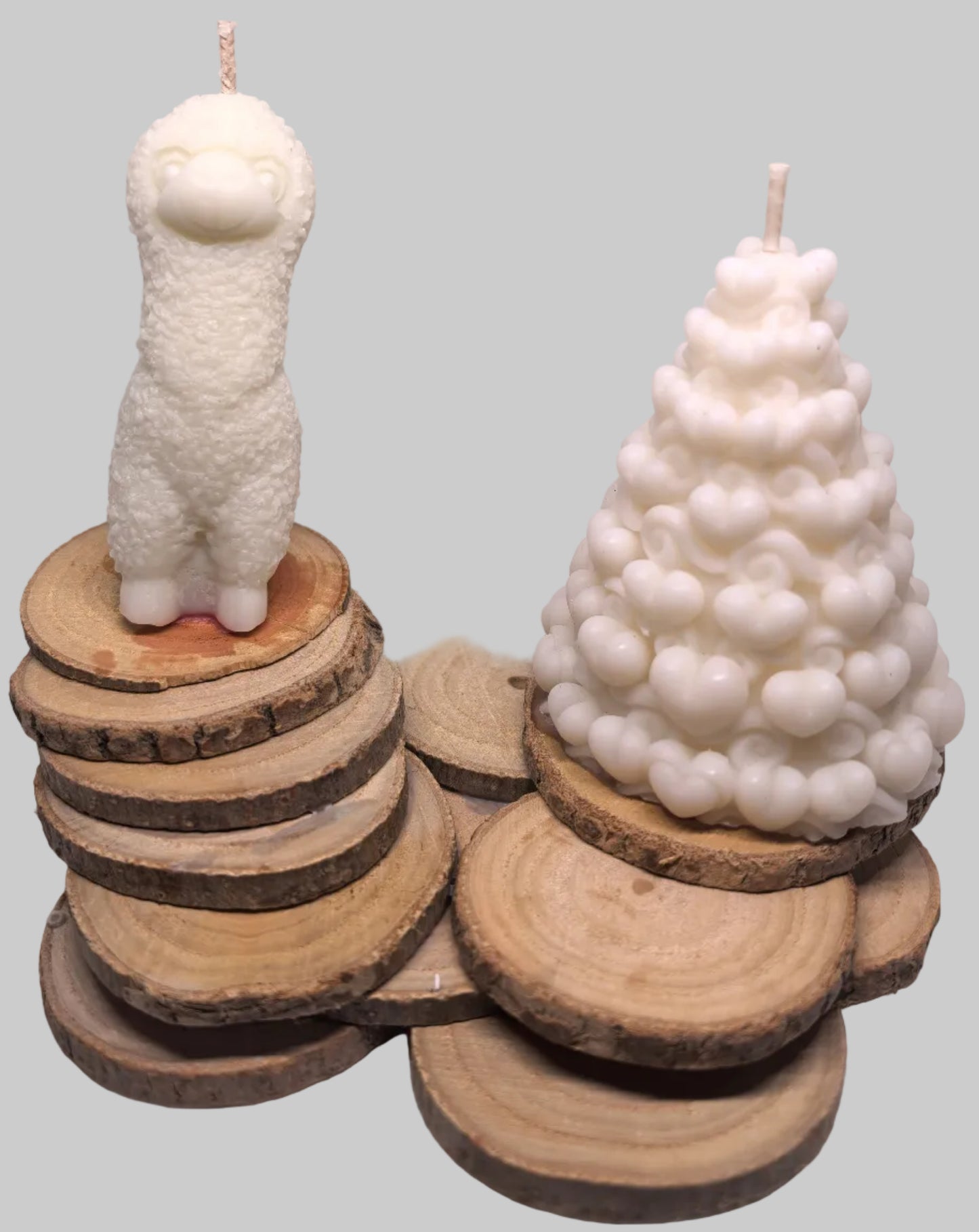 Les veilleurs des bois oubliés