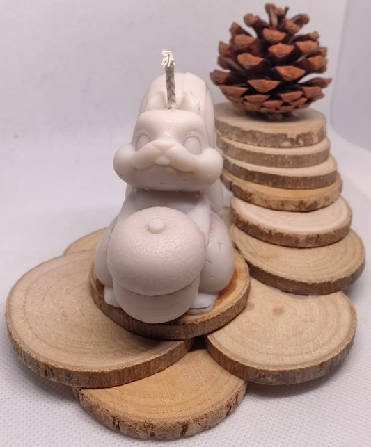 Le familier des bois silencieux