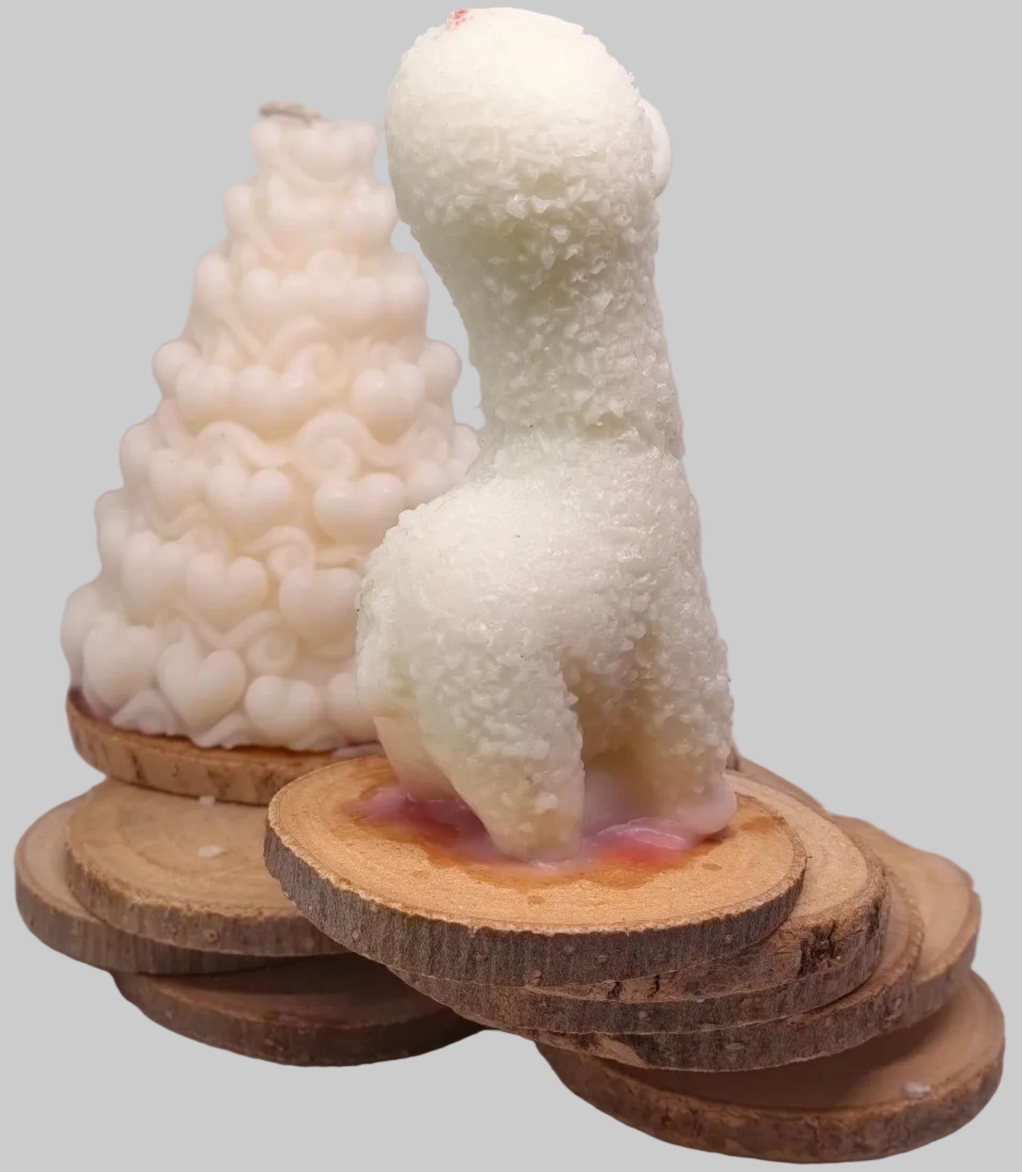 Les veilleurs des bois oubliés