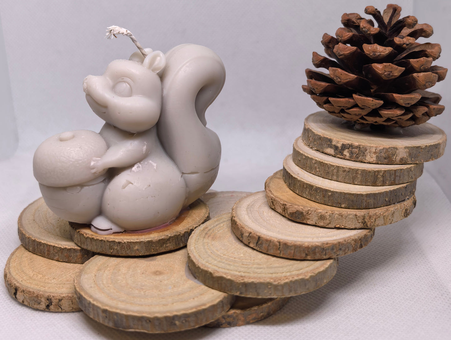 Le familier des bois silencieux